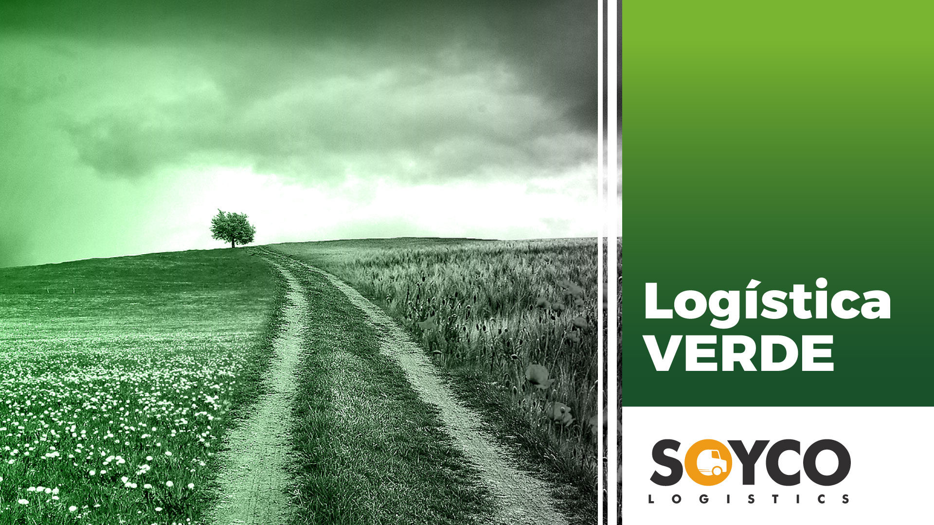 Logística Verde: La Importancia De Un Transporte Sostenible | Soyco